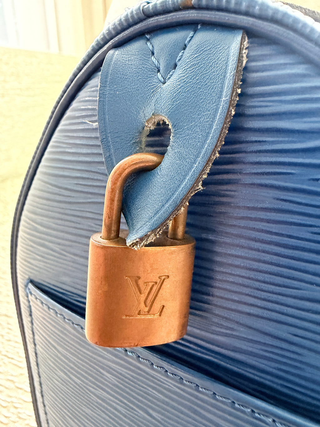 Louis Vuitton Speedy Handbag
