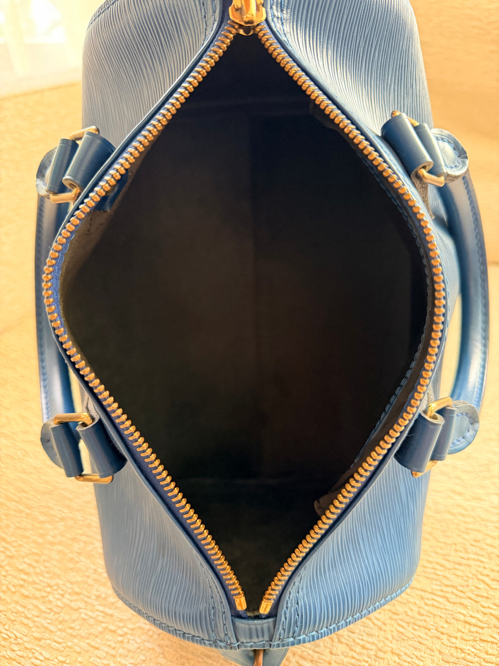 Louis Vuitton Speedy Handbag